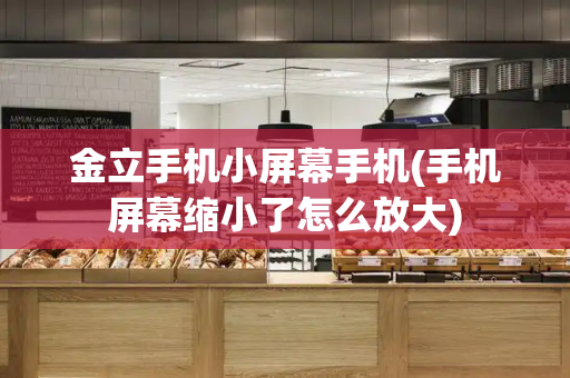 金立手机小屏幕手机(手机屏幕缩小了怎么放大)-第1张图片-星选测评