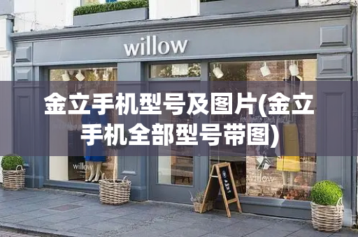 金立手机型号及图片(金立手机全部型号带图)-第1张图片-星选测评