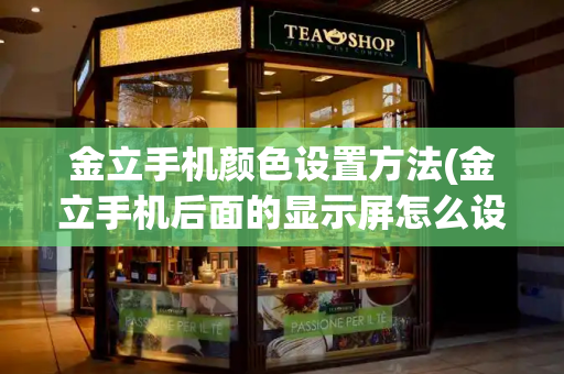 金立手机颜色设置方法(金立手机后面的显示屏怎么设置)-第1张图片-星选测评