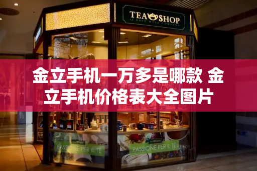 金立手机一万多是哪款 金立手机价格表大全图片-第1张图片-星选测评