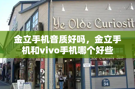 金立手机音质好吗，金立手机和vivo手机哪个好些-第1张图片-星选测评