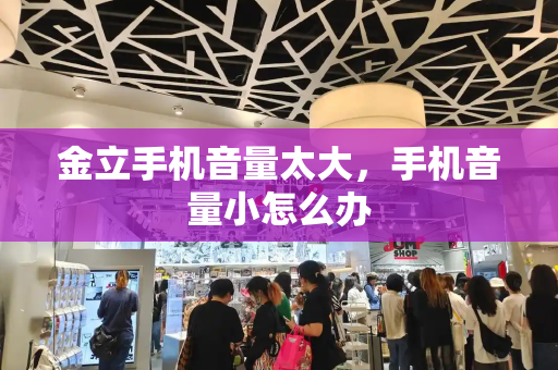 金立手机音量太大，手机音量小怎么办