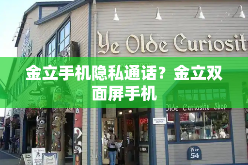 金立手机隐私通话？金立双面屏手机-第1张图片-星选测评