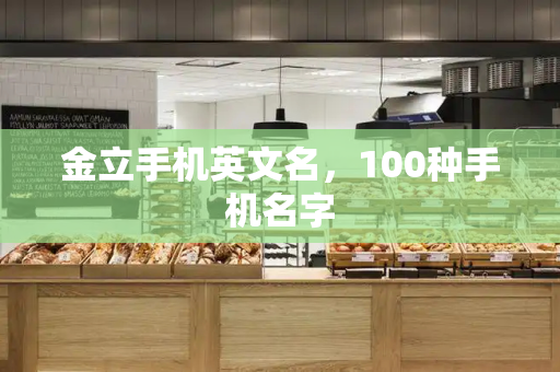 金立手机英文名，100种手机名字