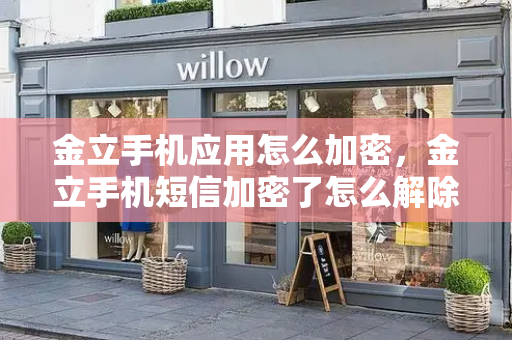 金立手机应用怎么加密，金立手机短信加密了怎么解除-第1张图片-星选测评