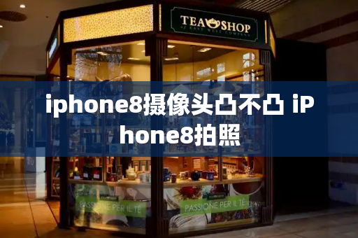 iphone8摄像头凸不凸 iPhone8拍照-第1张图片-星选测评