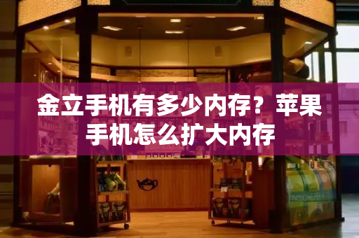 金立手机有多少内存？苹果手机怎么扩大内存