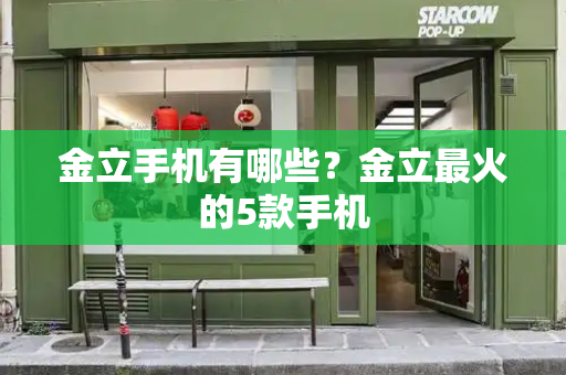 金立手机有哪些？金立最火的5款手机-第1张图片-星选测评