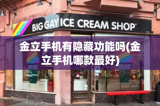 金立手机有隐藏功能吗(金立手机哪款最好)