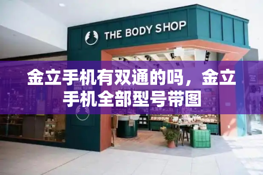 金立手机有双通的吗，金立手机全部型号带图-第1张图片-星选测评