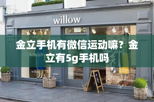 金立手机有微信运动嘛？金立有5g手机吗