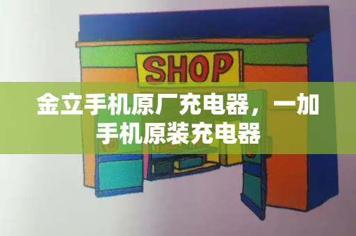 金立手机原厂充电器，一加手机原装充电器