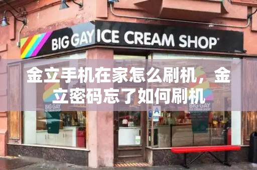 金立手机在家怎么刷机，金立密码忘了如何刷机-第1张图片-星选测评