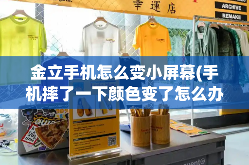 金立手机怎么变小屏幕(手机摔了一下颜色变了怎么办)