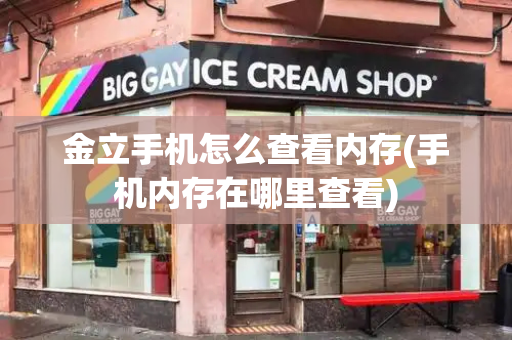 金立手机怎么查看内存(手机内存在哪里查看)-第1张图片-星选测评