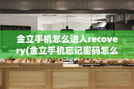 金立手机怎么进入recovery(金立手机忘记密码怎么恢复出厂设置)-第1张图片-星选测评