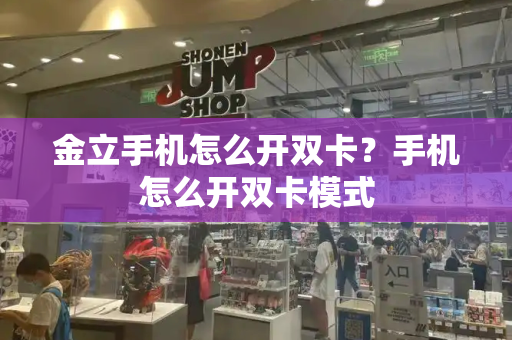金立手机怎么开双卡？手机怎么开双卡模式-第1张图片-星选测评