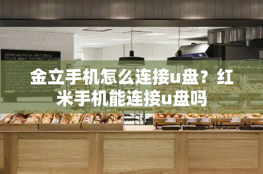金立手机怎么连接u盘？红米手机能连接u盘吗-第1张图片-星选测评