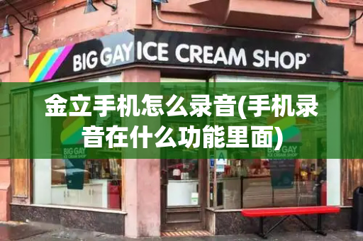金立手机怎么录音(手机录音在什么功能里面)