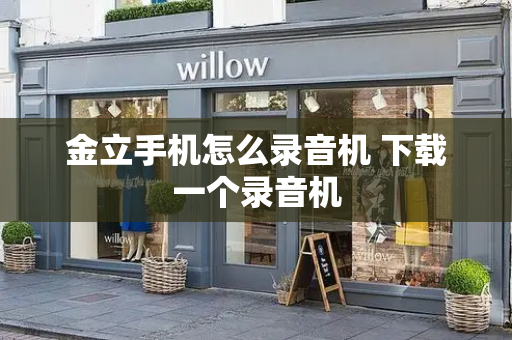 金立手机怎么录音机 下载一个录音机-第1张图片-星选测评