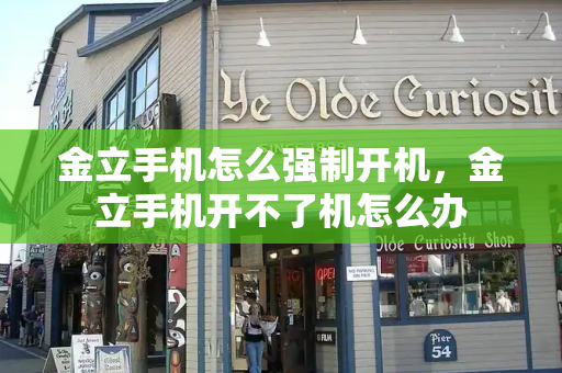 金立手机怎么强制开机，金立手机开不了机怎么办-第1张图片-星选测评