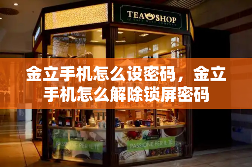 金立手机怎么设密码，金立手机怎么解除锁屏密码-第1张图片-星选测评