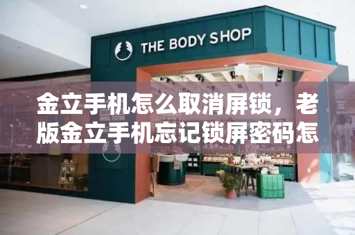 金立手机怎么取消屏锁，老版金立手机忘记锁屏密码怎么办-第1张图片-星选测评