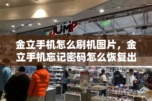 金立手机怎么刷机图片，金立手机忘记密码怎么恢复出厂设置