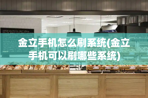 金立手机怎么刷系统(金立手机可以刷哪些系统)-第1张图片-星选测评