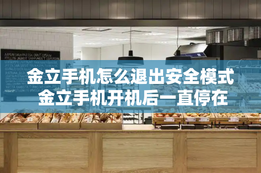 金立手机怎么退出安全模式 金立手机开机后一直停在开机界面-第1张图片-星选测评