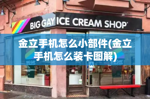 金立手机怎么小部件(金立手机怎么装卡图解)-第1张图片-星选测评