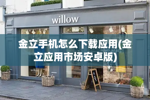 金立手机怎么下载应用(金立应用市场安卓版)-第1张图片-星选测评