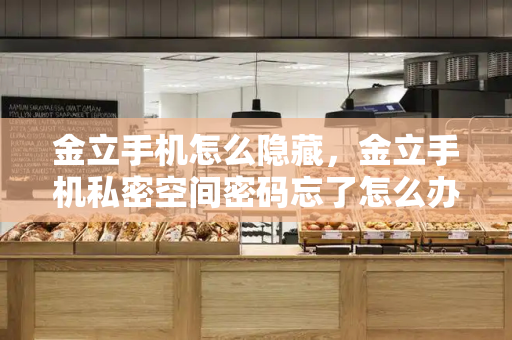 金立手机怎么隐藏，金立手机私密空间密码忘了怎么办-第1张图片-星选测评