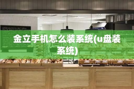 金立手机怎么装系统(u盘装系统)-第1张图片-星选测评