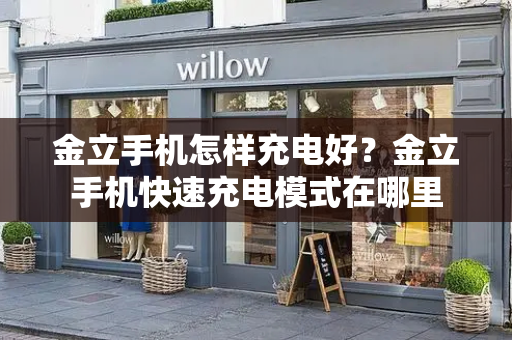 金立手机怎样充电好？金立手机快速充电模式在哪里-第1张图片-星选测评