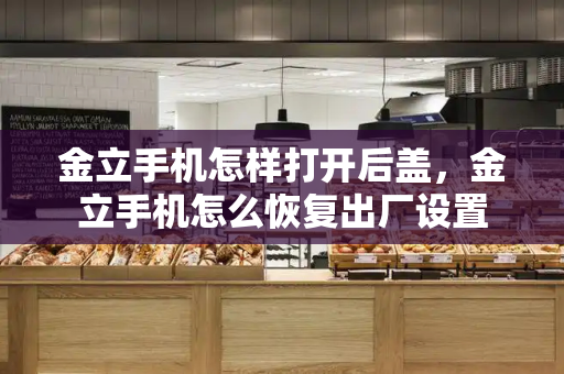 金立手机怎样打开后盖，金立手机怎么恢复出厂设置-第1张图片-星选测评