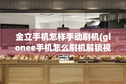 金立手机怎样手动刷机(gionee手机怎么刷机解锁视频)