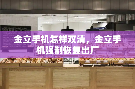 金立手机怎样双清，金立手机强制恢复出厂-第1张图片-星选测评