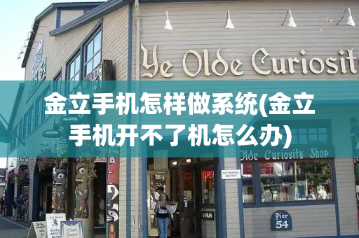 金立手机怎样做系统(金立手机开不了机怎么办)-第1张图片-星选测评