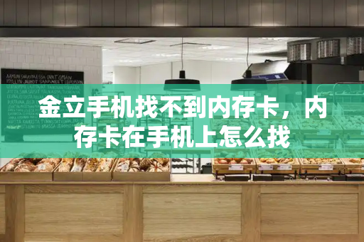 金立手机找不到内存卡，内存卡在手机上怎么找-第1张图片-星选测评