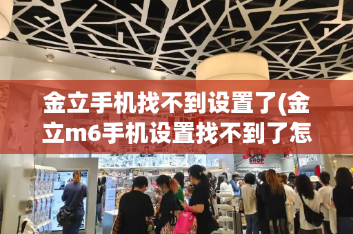 金立手机找不到设置了(金立m6手机设置找不到了怎么办)