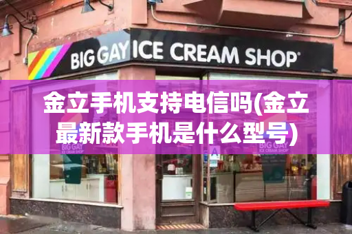 金立手机支持电信吗(金立最新款手机是什么型号)-第1张图片-星选测评