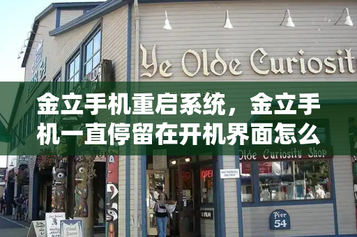 金立手机重启系统，金立手机一直停留在开机界面怎么办-第1张图片-星选测评