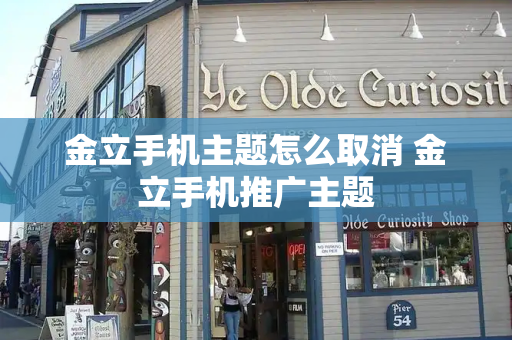 金立手机主题怎么取消 金立手机推广主题-第1张图片-星选测评