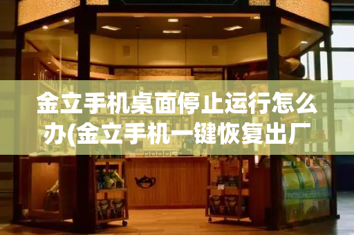 金立手机桌面停止运行怎么办(金立手机一键恢复出厂)-第1张图片-星选测评