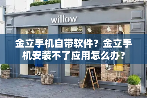 金立手机自带软件？金立手机安装不了应用怎么办？-第1张图片-星选测评