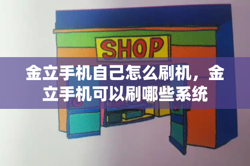 金立手机自己怎么刷机，金立手机可以刷哪些系统-第1张图片-星选测评