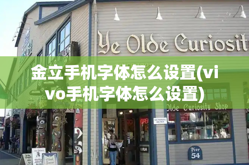 金立手机字体怎么设置(vivo手机字体怎么设置)