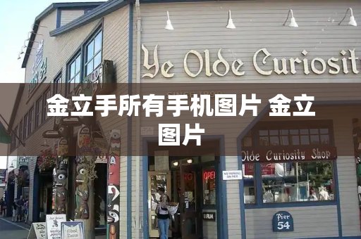 金立手所有手机图片 金立图片