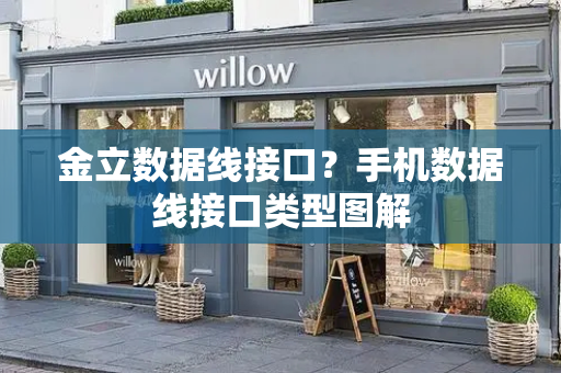 金立数据线接口？手机数据线接口类型图解-第1张图片-星选测评